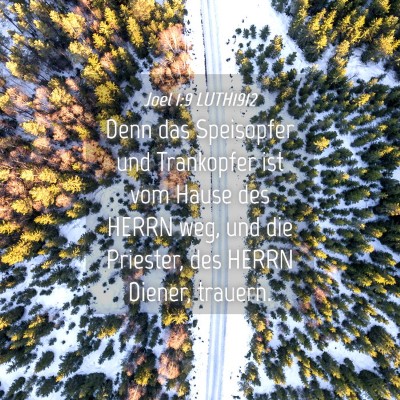 Picture 04 - Joel 1:9 LUTH1912 - Denn das Speisopfer und Trankopfer ist vom Hause - Bible Verse Picture