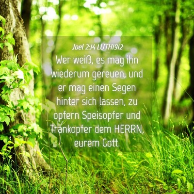 Picture 04 - Joel 2:14 LUTH1912 - Wer weiß, es mag ihn wiederum gereuen, und er - Bible Verse Picture