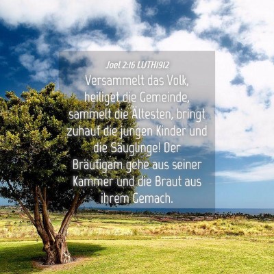 Picture 04 - Joel 2:16 LUTH1912 - Versammelt das Volk, heiliget die Gemeinde, - Bible Verse Picture