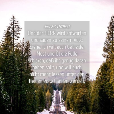 Picture 04 - Joel 2:19 LUTH1912 - Und der HERR wird antworten und sagen zu seinem - Bible Verse Picture