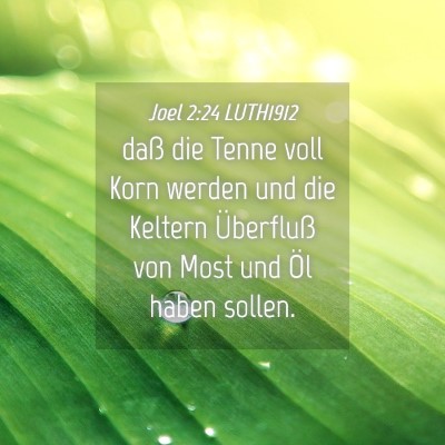 Picture 04 - Joel 2:24 LUTH1912 - daß die Tenne voll Korn werden und die Keltern - Bible Verse Picture