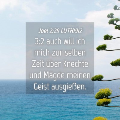 Picture 04 - Joel 2:29 LUTH1912 - 3:2 auch will ich mich zur selben Zeit über - Bible Verse Picture