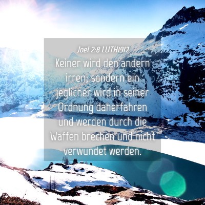 Picture 04 - Joel 2:8 LUTH1912 - Keiner wird den andern irren; sondern ein - Bible Verse Picture