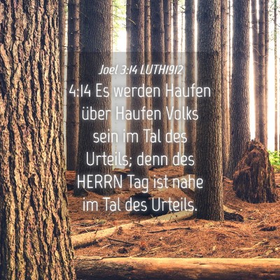 Picture 04 - Joel 3:14 LUTH1912 - 4:14 Es werden Haufen über Haufen Volks sein im - Bible Verse Picture