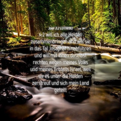 Picture 04 - Joel 3:2 LUTH1912 - 4:2 will ich alle Heiden zusammenbringen und will - Bible Verse Picture