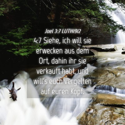 Picture 04 - Joel 3:7 LUTH1912 - 4:7 Siehe, ich will sie erwecken aus dem Ort, - Bible Verse Picture