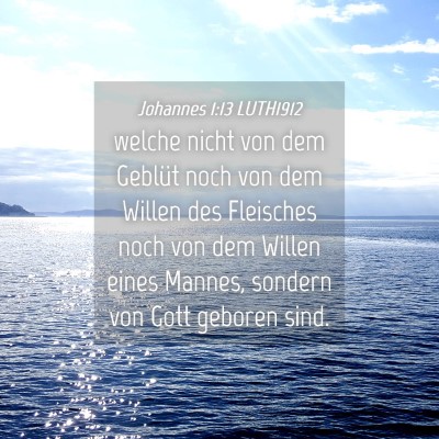 Picture 04 - Johannes 1:13 LUTH1912 - welche nicht von dem Geblüt noch von dem Willen - Bible Verse Picture
