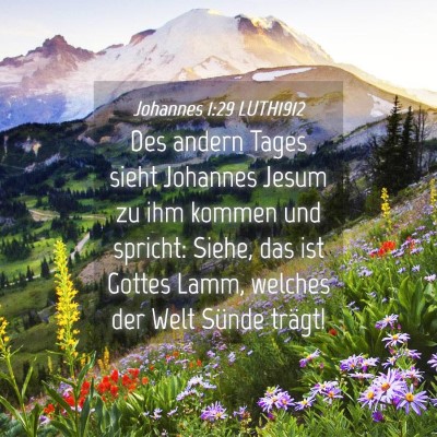Picture 04 - Johannes 1:29 LUTH1912 - Des andern Tages sieht Johannes Jesum zu ihm - Bible Verse Picture