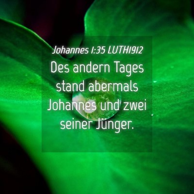 Picture 04 - Johannes 1:35 LUTH1912 - Des andern Tages stand abermals Johannes und zwei - Bible Verse Picture