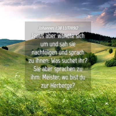Picture 04 - Johannes 1:38 LUTH1912 - Jesus aber wandte sich um und sah sie nachfolgen - Bible Verse Picture