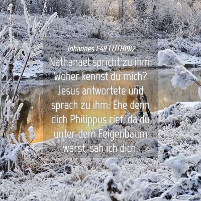 Picture 04 - Johannes 1:48 LUTH1912 - Nathanael spricht zu ihm: Woher kennst du mich? - Bible Verse Picture