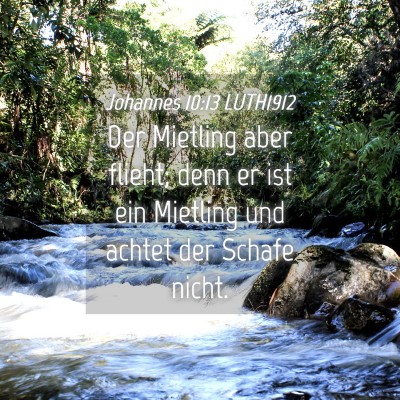 Picture 04 - Johannes 10:13 LUTH1912 - Der Mietling aber flieht; denn er ist ein - Bible Verse Picture