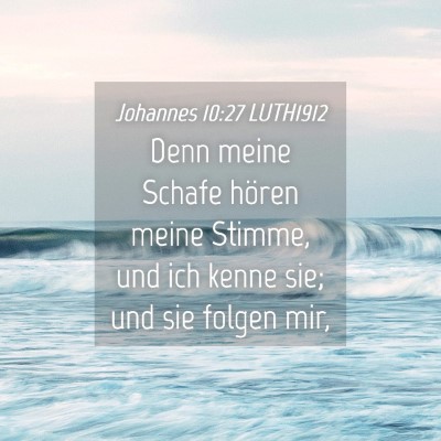 Picture 04 - Johannes 10:27 LUTH1912 - Denn meine Schafe hören meine Stimme, und ich - Bible Verse Picture