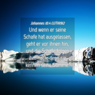 Picture 04 - Johannes 10:4 LUTH1912 - Und wenn er seine Schafe hat ausgelassen, geht er - Bible Verse Picture