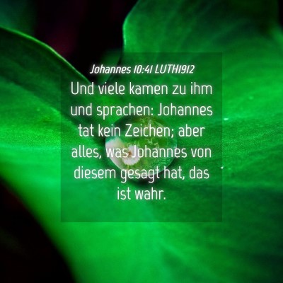 Picture 04 - Johannes 10:41 LUTH1912 - Und viele kamen zu ihm und sprachen: Johannes tat - Bible Verse Picture