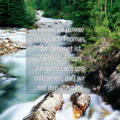 Picture 04 - Johannes 11:16 LUTH1912 - Da sprach Thomas, der genannt ist Zwilling, zu - Bible Verse Picture