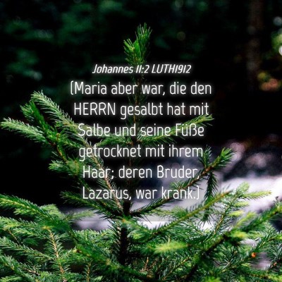 Picture 04 - Johannes 11:2 LUTH1912 - (Maria aber war, die den HERRN gesalbt hat mit - Bible Verse Picture
