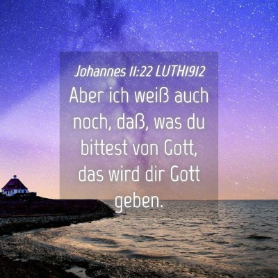Picture 04 - Johannes 11:22 LUTH1912 - Aber ich weiß auch noch, daß, was du bittest - Bible Verse Picture