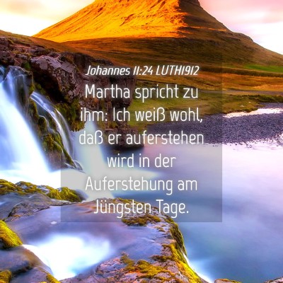 Picture 04 - Johannes 11:24 LUTH1912 - Martha spricht zu ihm: Ich weiß wohl, daß er - Bible Verse Picture
