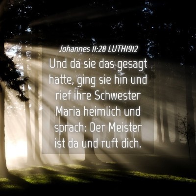Picture 04 - Johannes 11:28 LUTH1912 - Und da sie das gesagt hatte, ging sie hin und - Bible Verse Picture