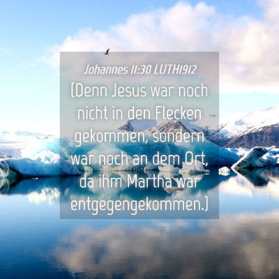 Picture 04 - Johannes 11:30 LUTH1912 - (Denn Jesus war noch nicht in den Flecken - Bible Verse Picture