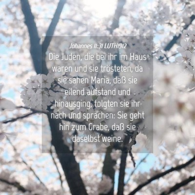 Picture 04 - Johannes 11:31 LUTH1912 - Die Juden, die bei ihr im Haus waren und sie - Bible Verse Picture
