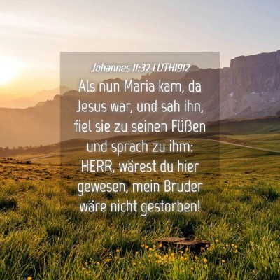 Picture 04 - Johannes 11:32 LUTH1912 - Als nun Maria kam, da Jesus war, und sah ihn, - Bible Verse Picture