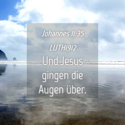 Picture 04 - Johannes 11:35 LUTH1912 - Und Jesus gingen die Augen - Bible Verse Picture