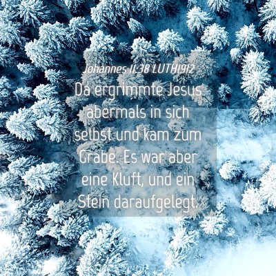 Picture 04 - Johannes 11:38 LUTH1912 - Da ergrimmte Jesus abermals in sich selbst und - Bible Verse Picture