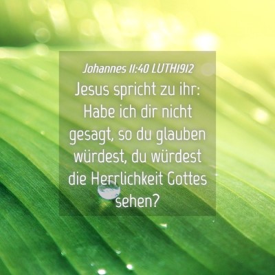 Picture 04 - Johannes 11:40 LUTH1912 - Jesus spricht zu ihr: Habe ich dir nicht gesagt, - Bible Verse Picture