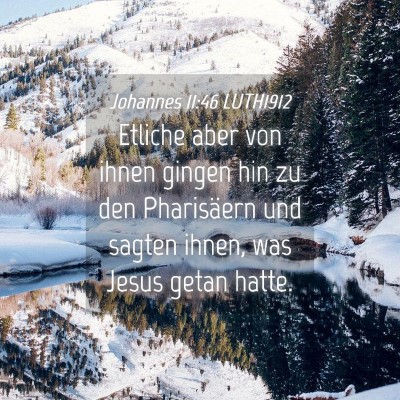 Picture 04 - Johannes 11:46 LUTH1912 - Etliche aber von ihnen gingen hin zu den - Bible Verse Picture