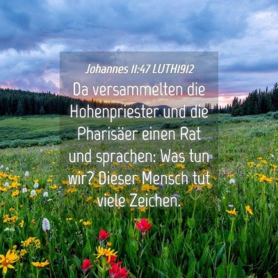 Picture 04 - Johannes 11:47 LUTH1912 - Da versammelten die Hohenpriester und die - Bible Verse Picture