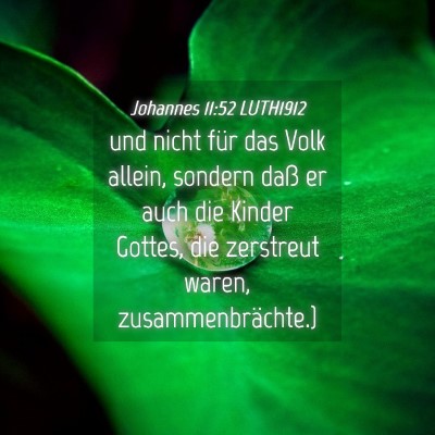 Picture 04 - Johannes 11:52 LUTH1912 - und nicht für das Volk allein, sondern daß er - Bible Verse Picture