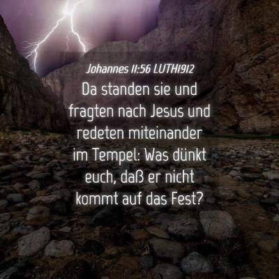 Picture 04 - Johannes 11:56 LUTH1912 - Da standen sie und fragten nach Jesus und redeten - Bible Verse Picture