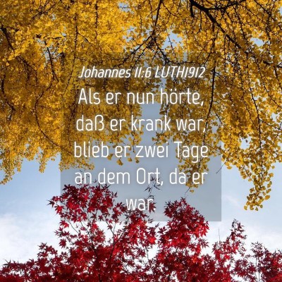 Picture 04 - Johannes 11:6 LUTH1912 - Als er nun hörte, daß er krank war, blieb er - Bible Verse Picture