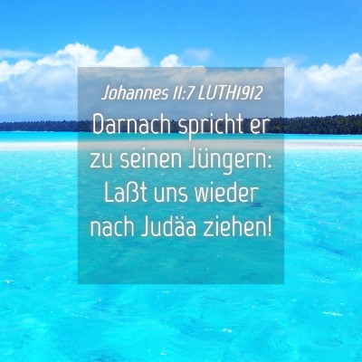 Picture 04 - Johannes 11:7 LUTH1912 - Darnach spricht er zu seinen Jüngern: Laßt uns - Bible Verse Picture