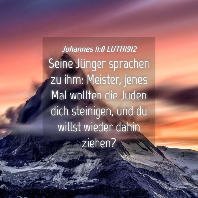 Picture 04 - Johannes 11:8 LUTH1912 - Seine Jünger sprachen zu ihm: Meister, jenes Mal - Bible Verse Picture