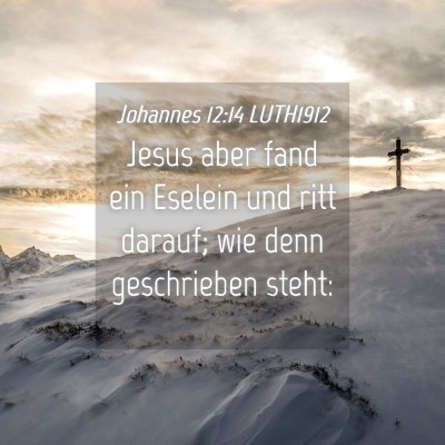 Picture 04 - Johannes 12:14 LUTH1912 - Jesus aber fand ein Eselein und ritt darauf; wie - Bible Verse Picture