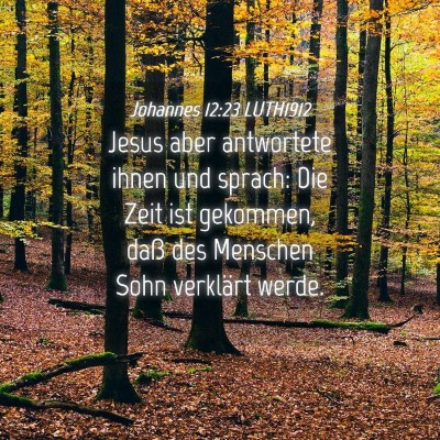 Picture 04 - Johannes 12:23 LUTH1912 - Jesus aber antwortete ihnen und sprach: Die Zeit - Bible Verse Picture