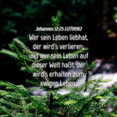 Picture 04 - Johannes 12:25 LUTH1912 - Wer sein Leben liebhat, der wird's verlieren; und - Bible Verse Picture