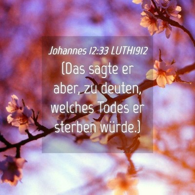Picture 04 - Johannes 12:33 LUTH1912 - (Das sagte er aber, zu deuten, welches Todes er - Bible Verse Picture