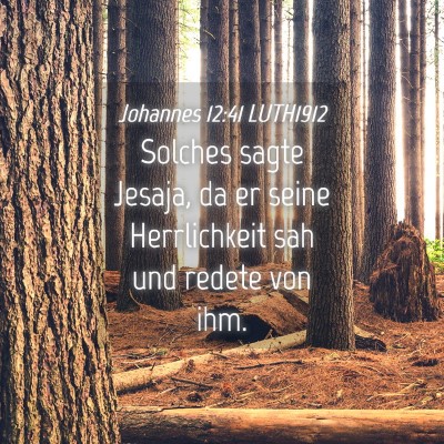 Picture 04 - Johannes 12:41 LUTH1912 - Solches sagte Jesaja, da er seine Herrlichkeit - Bible Verse Picture