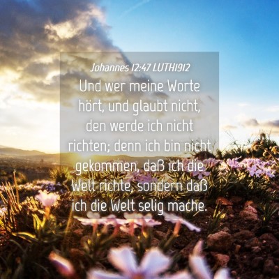 Picture 04 - Johannes 12:47 LUTH1912 - Und wer meine Worte hört, und glaubt nicht, den - Bible Verse Picture