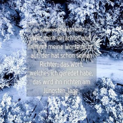 Picture 04 - Johannes 12:48 LUTH1912 - Wer mich verachtet und nimmt meine Worte nicht - Bible Verse Picture