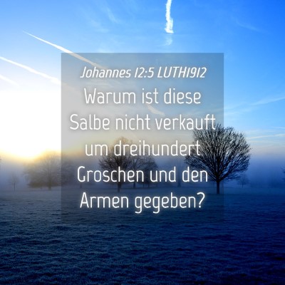Picture 04 - Johannes 12:5 LUTH1912 - Warum ist diese Salbe nicht verkauft um - Bible Verse Picture