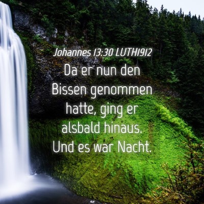 Picture 04 - Johannes 13:30 LUTH1912 - Da er nun den Bissen genommen hatte, ging er - Bible Verse Picture