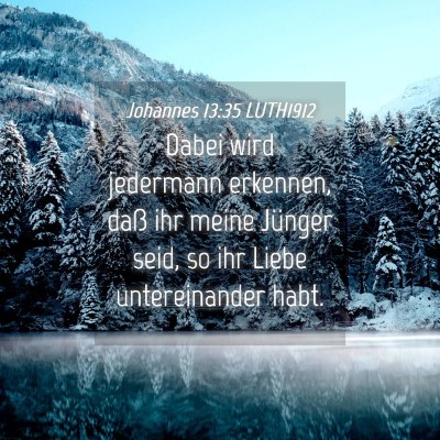 Picture 04 - Johannes 13:35 LUTH1912 - Dabei wird jedermann erkennen, daß ihr meine - Bible Verse Picture