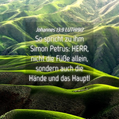 Picture 04 - Johannes 13:9 LUTH1912 - So spricht zu ihm Simon Petrus: HERR, nicht die - Bible Verse Picture