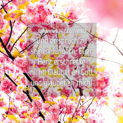 Picture 04 - Johannes 14:1 LUTH1912 - Und er sprach zu seinen Jüngern: Euer Herz - Bible Verse Picture