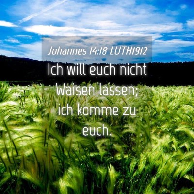 Picture 04 - Johannes 14:18 LUTH1912 - Ich will euch nicht Waisen lassen; ich komme zu - Bible Verse Picture